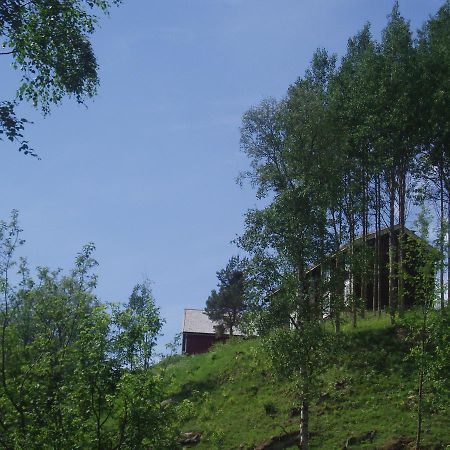 Ivaregga Vinterstua Tolga Exterior foto